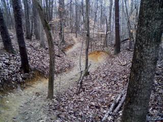 A winding dirt trail through a forest with bare trees and scattered fallen leaves on the ground. The trail curves and disappears into the distance, surrounded by earthy tones and a serene, natural atmosphere. Owls Roost (Bur-Mil Park) mountain bike trail.