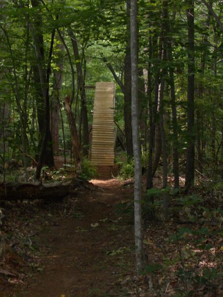 A wooden ramp leading up into a dense forest, surrounded by trees and a dirt pathway. Salem Lake mountain bike trail.