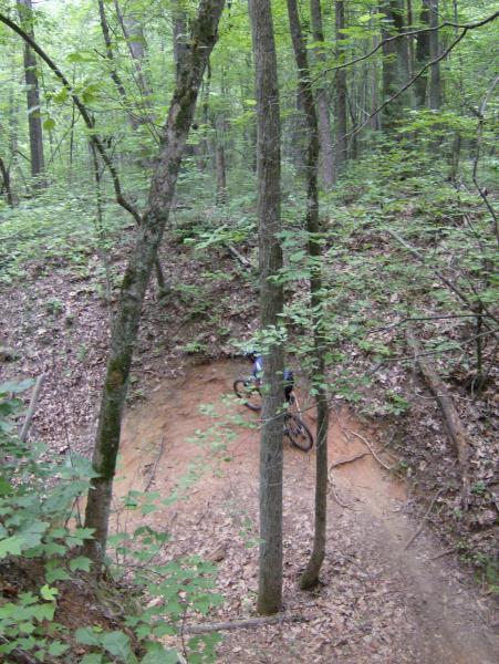 A mountain bike rests on a dirt trail surrounded by tall green trees and lush vegetation in a forested area. The scene captures the tranquil beauty of nature, with sunlight filtering through the leaves. Salem Lake mountain bike trail.