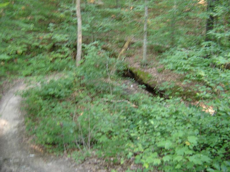 A blurred photograph of a forest path surrounded by lush greenery, with a narrow stream visible in the background. The scene conveys a peaceful, natural setting with trees and underbrush typical of a woodland area. San-lee Park mountain bike trail.