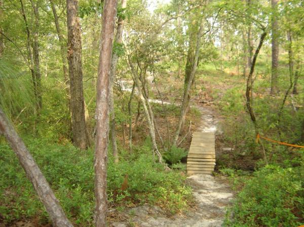 A wooded trail leading to a small wooden footbridge, surrounded by lush green vegetation and trees. The path is slightly uneven, winding through a tranquil natural setting. Smith Lake mountain bike trail.