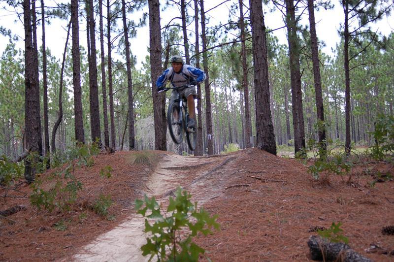A mountain biker performing a jump on a dirt trail surrounded by tall pine trees in a forest setting. The cyclist is wearing a helmet and athletic gear, showcasing an action-packed moment in a natural outdoor environment. Smith Lake mountain bike trail.
