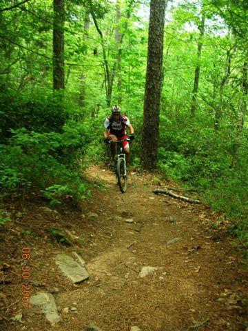 A mountain biker navigating a rocky trail surrounded by lush green trees and foliage. Tsali Mouse Branch Loop mountain bike trail.