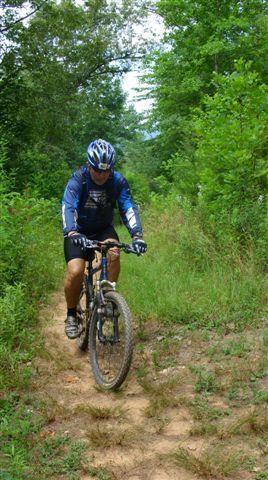 A person riding a mountain bike on a dirt trail surrounded by greenery and trees. The rider is wearing a helmet, protective gear, and a blue shirt, navigating a moderately uneven path through the forest. Tsali Mouse Branch Loop mountain bike trail.