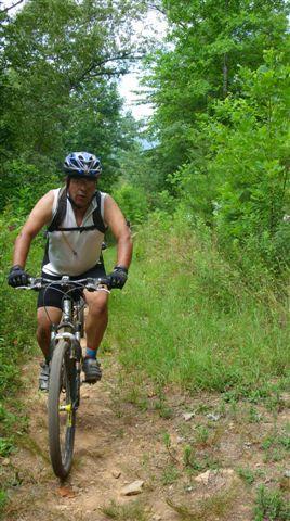 An individual riding a mountain bike on a dirt trail surrounded by lush greenery. The cyclist wears a helmet and athletic attire while navigating through a natural landscape. Tsali Mouse Branch Loop mountain bike trail.