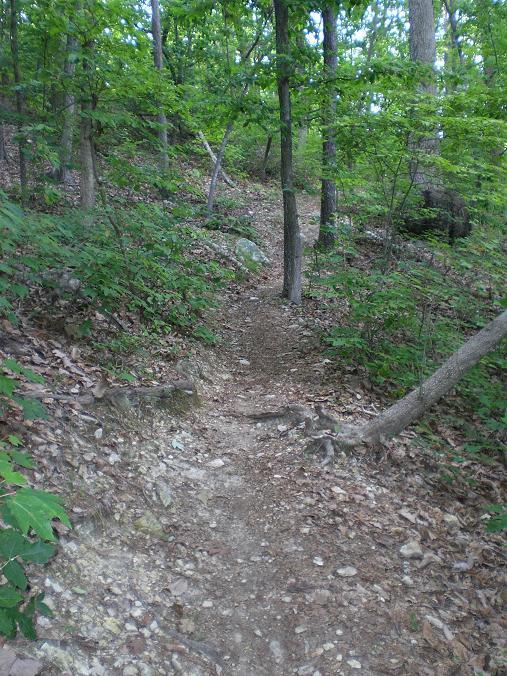 A narrow dirt trail winding through a dense forest, surrounded by green foliage and trees. The ground is covered with leaves and small rocks, and the path gently slopes upward. Uwharrie NF: Wood Run, Supertree And Keyauwee mountain bike trail.