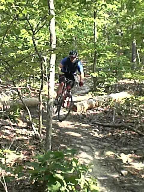 A mountain biker navigating a trail through a dense green forest, focusing on balancing as they ride over a fallen log. The scene captures a sunny day with trees and foliage surrounding the path. Uwharrie NF: Wood Run, Supertree And Keyauwee mountain bike trail.