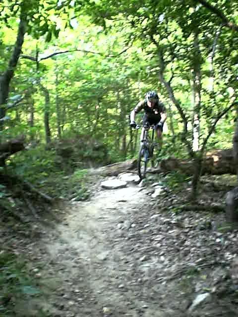 A mountain biker navigating a rocky trail in a lush green forest, jumping a small log as part of an off-road biking adventure. Uwharrie NF: Wood Run, Supertree And Keyauwee mountain bike trail.