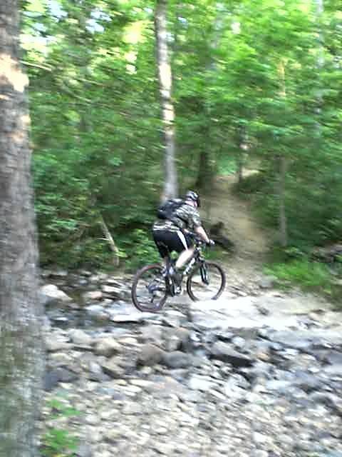 A mountain biker navigates a rocky path in a dense green forest, with trees surrounding the trail. Uwharrie NF: Wood Run, Supertree And Keyauwee mountain bike trail.