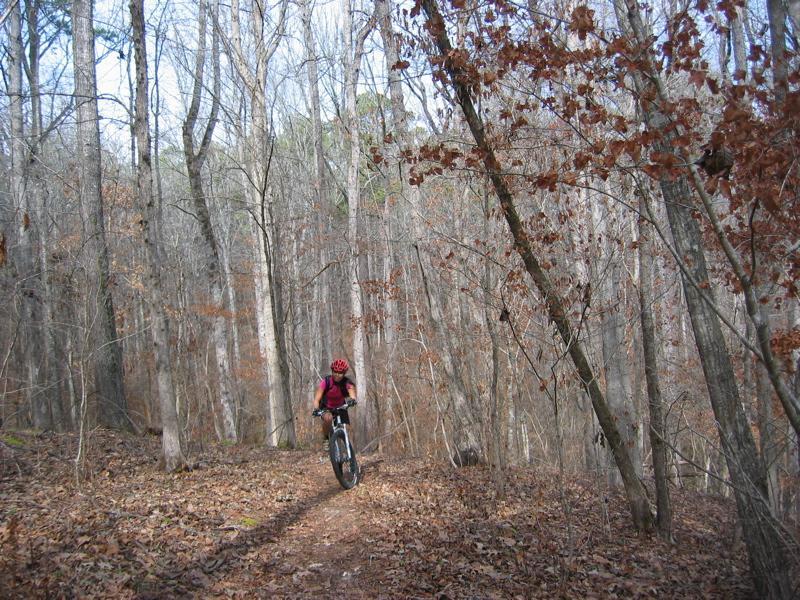 A person riding a mountain bike on a narrow trail through a wooded area during late autumn. The trees are mostly bare, with a few leaves remaining, and the ground is covered in fallen leaves. The rider is wearing a red helmet and a pink shirt, navigating the trail surrounded by the natural scenery. Turkey Creek mountain bike trail.