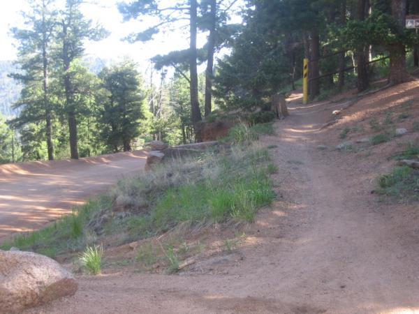 A scenic path through a forested area, featuring a dirt trail that forks off to the right. Lush greenery and tall trees line both sides of the path, creating a tranquil outdoor atmosphere. Sunlight filters through the foliage, illuminating the surrounding landscape. Captain Jack's mountain bike trail.
