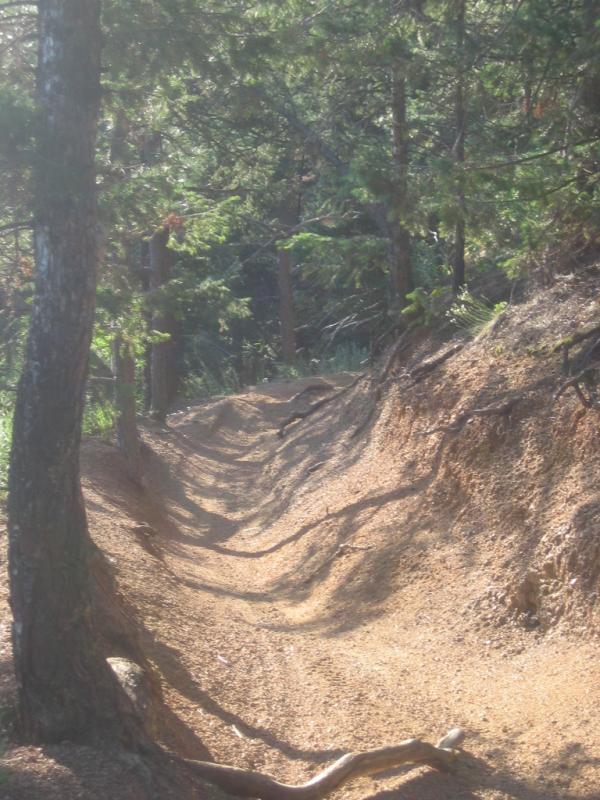 A narrow dirt trail winding through a forest, flanked by trees and scattered patches of sunlight filtering through the leaves. The path shows signs of use, with soft soil and roots exposed along the edges. Captain Jack's mountain bike trail.
