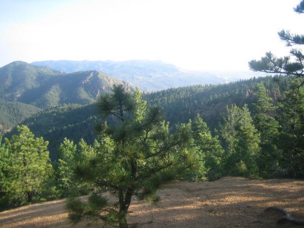 A scenic landscape featuring rolling green hills and mountains, densely populated with evergreen trees. The foreground includes a small pine tree, while the background shows a hazy, distant view of more hills and valleys under a clear sky. Captain Jack's mountain bike trail.