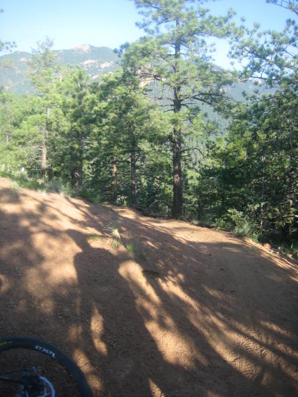 A serene forest scene featuring tall pine trees and a dirt trail. Sunlight casts shadows on the trail, and mountains are visible in the background, suggesting a peaceful outdoor setting. Captain Jack's mountain bike trail.