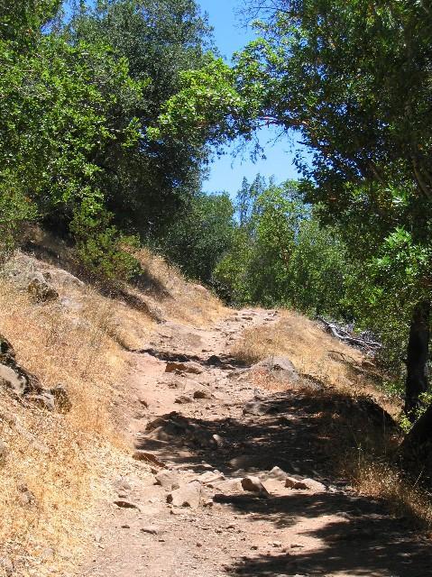 A rocky dirt path winding through a wooded area, with tall trees on either side and sunlight filtering through the leaves, creating a warm, inviting atmosphere. The ground is uneven with exposed stones, and dry grass is visible alongside the trail. Annadel State Park mountain bike trail.