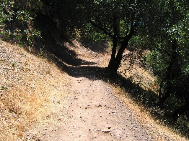 A dirt path winding through a dry landscape, flanked by trees on the right and sparse vegetation on the left. The sunlight casts shadows on the trail, highlighting the rocky surface and the surrounding earthy tones. Annadel State Park mountain bike trail.