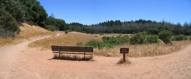A dirt path forks into two directions, with a wooden bench positioned near a sign that indicates a trail. Surrounding the area are patches of dry grass and low bushes, while a backdrop of trees stretches across the horizon under a clear blue sky. Annadel State Park mountain bike trail.