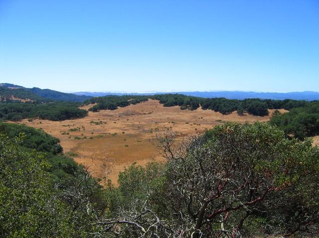 A panoramic view of a dry, open landscape surrounded by green trees under a clear blue sky. The foreground features low shrubs and the vast, sparse area extends into the distance, framed by distant mountains. Annadel State Park mountain bike trail.