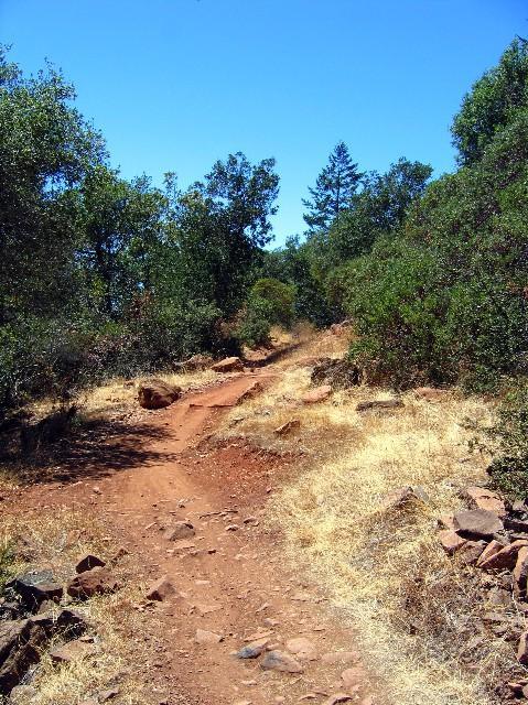 A dirt hiking trail winding through a lush green landscape, lined with trees and shrubs under a clear blue sky. The path is uneven, featuring scattered rocks and patches of dry grass along the sides. Annadel State Park mountain bike trail.
