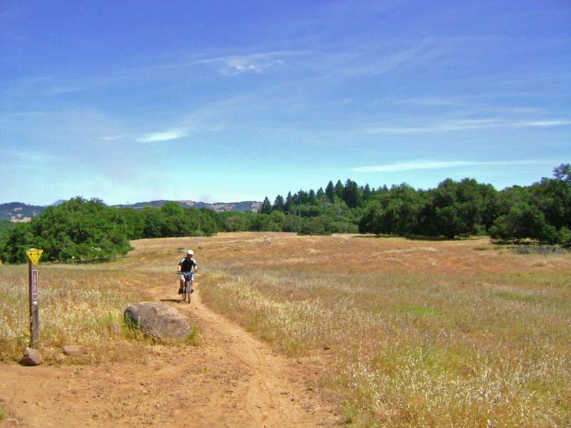 A mountain biker rides along a dirt path through a grassy field, with trees in the background and a clear blue sky overhead. A trail sign is visible on the left. Annadel State Park mountain bike trail.