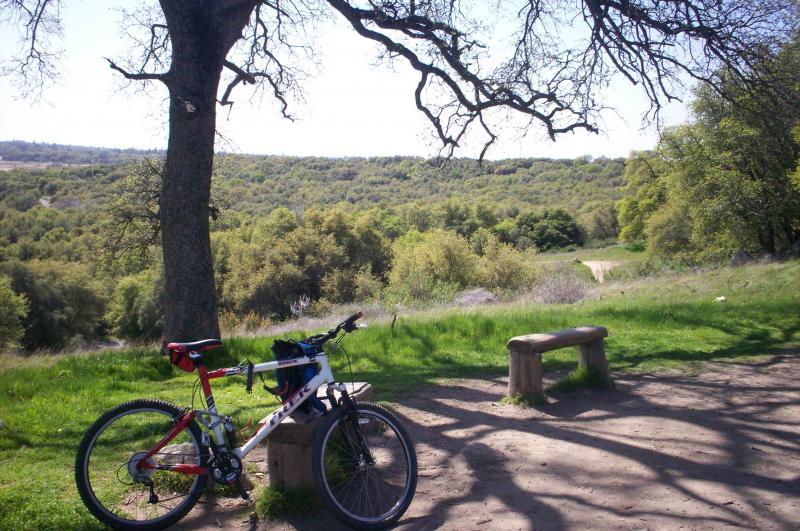 A mountain bike is parked next to a wooden bench under a large tree, with a scenic view of lush green hills and a dirt path in the background under clear blue skies. Granite Bay Trail mountain bike trail.
