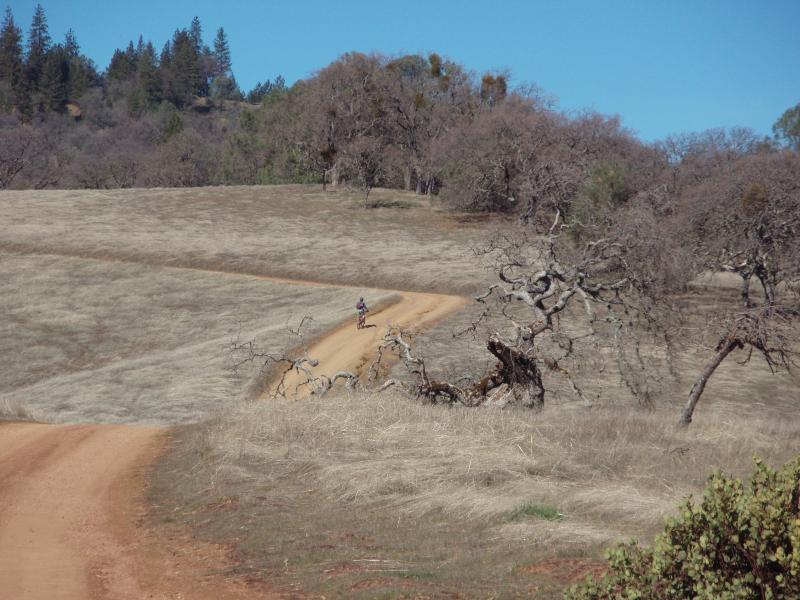 A winding dirt road through a grassy landscape, with a cyclist riding in the distance. Sparse trees and a blue sky are visible in the background, suggesting a rural, outdoor setting. Henry W. Coe State Park mountain bike trail.