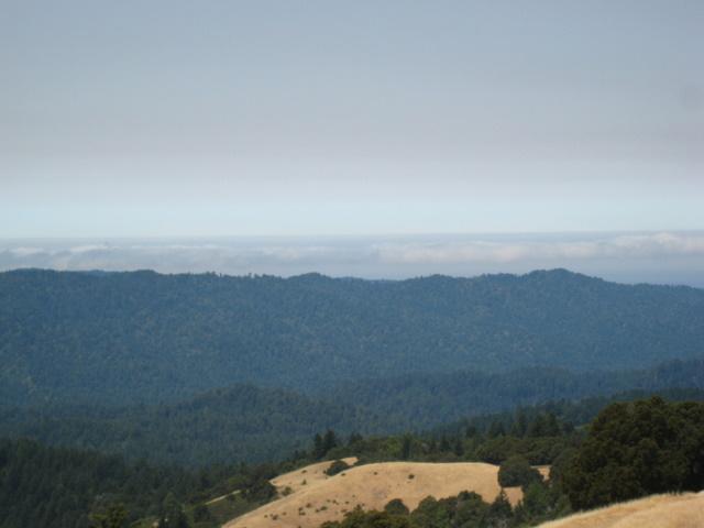 A scenic view of rolling hills and dense forests under a cloudy sky, with layers of mountains in the distance. The foreground features a patch of grassland, while the horizon blends into a misty atmosphere. Saratoga Gap mountain bike trail.