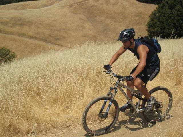 A person riding a mountain bike on a dirt trail surrounded by tall dry grass and rolling hills on a sunny day. The cyclist is wearing a helmet and a tank top, focused on navigating the terrain. Saratoga Gap mountain bike trail.