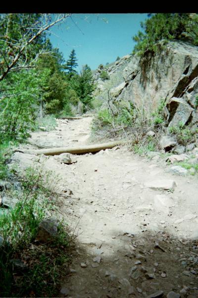 A dirt hiking trail winding through a wooded area, with rocky terrain on one side and greenery on both sides. A fallen log crosses the path, and the scene is under a clear blue sky, suggesting a sunny day. Deer Creek Canyon mountain bike trail.