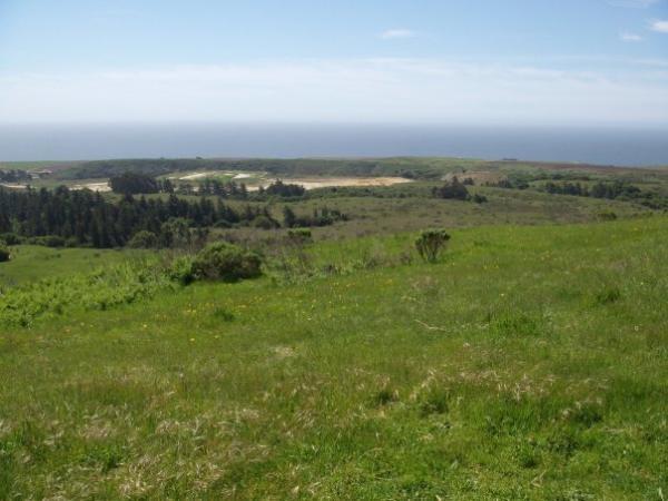 A panoramic view of a lush green landscape overlooking the ocean. The foreground features a grassy field with scattered vegetation, while the background includes rolling hills and areas of forest. The sky is bright with a few clouds, and the calm ocean stretches toward the horizon. Wilder Ranch State Park mountain bike trail.