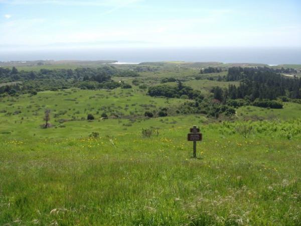 A scenic view of a lush green landscape with a distant coastline and the ocean in the background. The foreground features a grassy field and a sign positioned near the center, indicating the area's purpose or information about the location. The sky is clear with a light blue hue, suggesting a sunny day. Wilder Ranch State Park mountain bike trail.