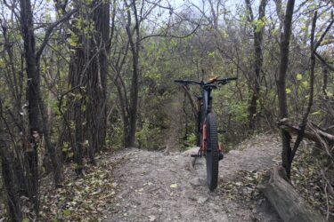 A mountain bike stands on a dirt trail surrounded by dense foliage and trees. The path curves gently and is covered with fallen leaves, indicating a rustic outdoor setting. The atmosphere is tranquil, showcasing an inviting area for biking or nature exploration. Palos Forest Preserve mountain bike trail.