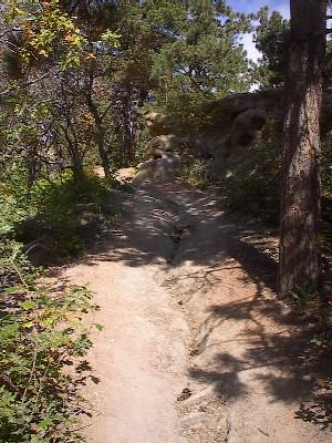 A narrow hiking path winding through a forest with rocky terrain, surrounded by greenery and trees, under a clear blue sky. Palmer Park mountain bike trail.