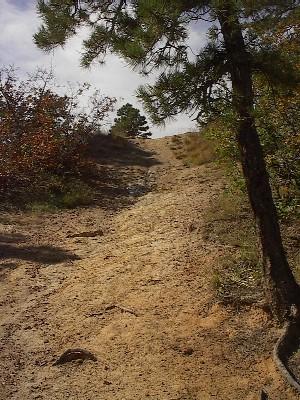 A dirt path leading uphill through a sparse forest, lined with trees and shrubs, under a partly cloudy sky. Palmer Park mountain bike trail.