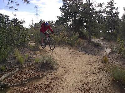 A mountain biker in a red jacket riding along a dirt trail surrounded by shrubs and trees, with power lines visible in the background. Palmer Park mountain bike trail.