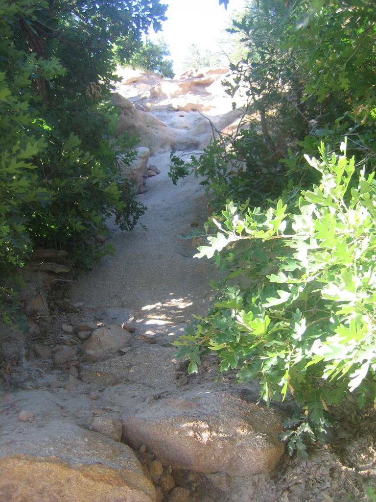 A narrow dirt path winding between lush green foliage and rocky terrain, leading upwards toward a rocky slope under clear blue skies. Palmer Park mountain bike trail.
