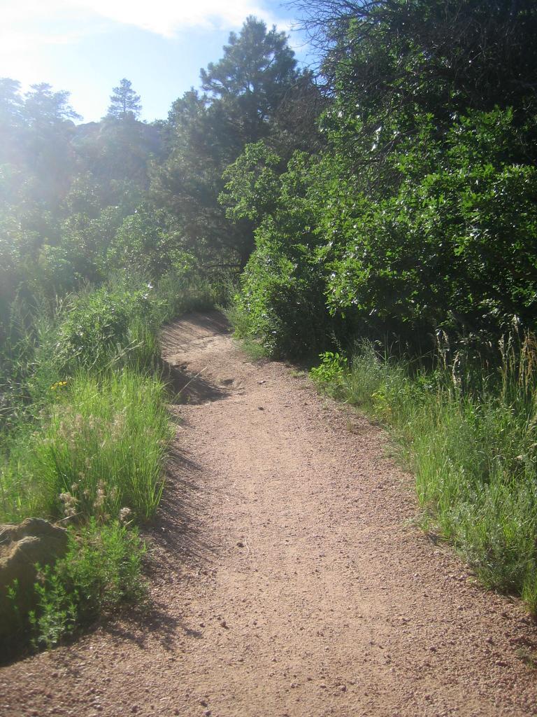A winding dirt path surrounded by lush greenery and tall grasses, leading through a forested area under a blue sky. The trail is sunny and inviting, suggesting a peaceful outdoor setting. Palmer Park mountain bike trail.