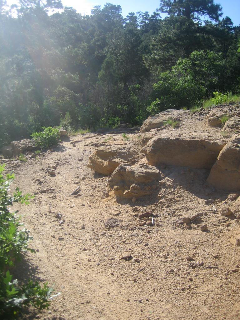 A dirt trail winding through a forested area, surrounded by green shrubs and trees. Large rock formations are visible along the path, with sunlight filtering through the foliage, creating a warm, natural atmosphere. Palmer Park mountain bike trail.