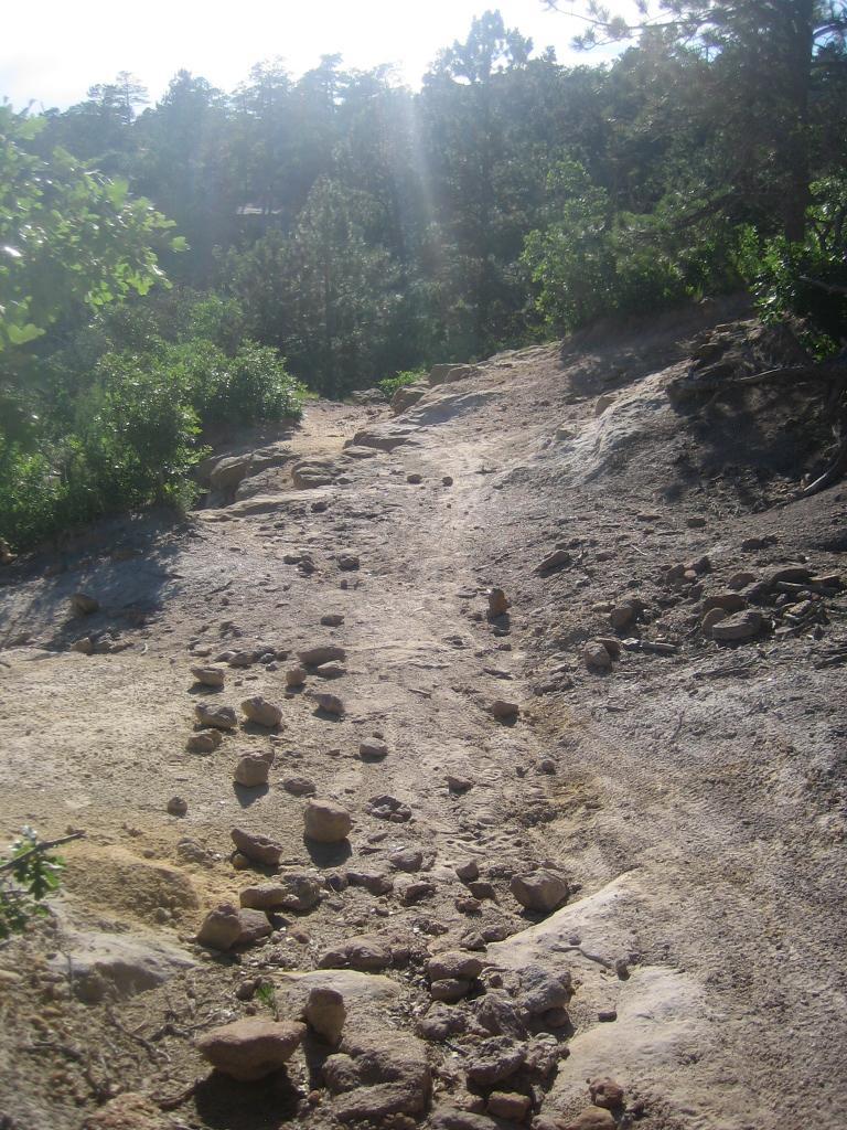 A rocky dirt trail surrounded by green foliage and trees, leading through a natural setting with sunlight shining down from above. Palmer Park mountain bike trail.