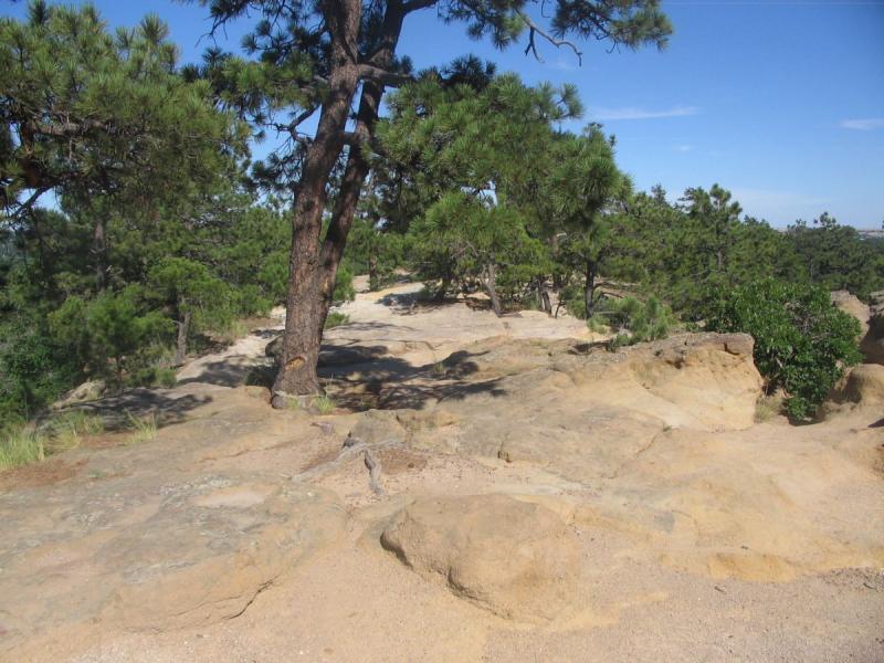 Rocky landscape with scattered trees under a clear blue sky. The foreground features exposed rock formations and sandy patches, while green foliage and additional trees provide depth in the background. Palmer Park mountain bike trail.