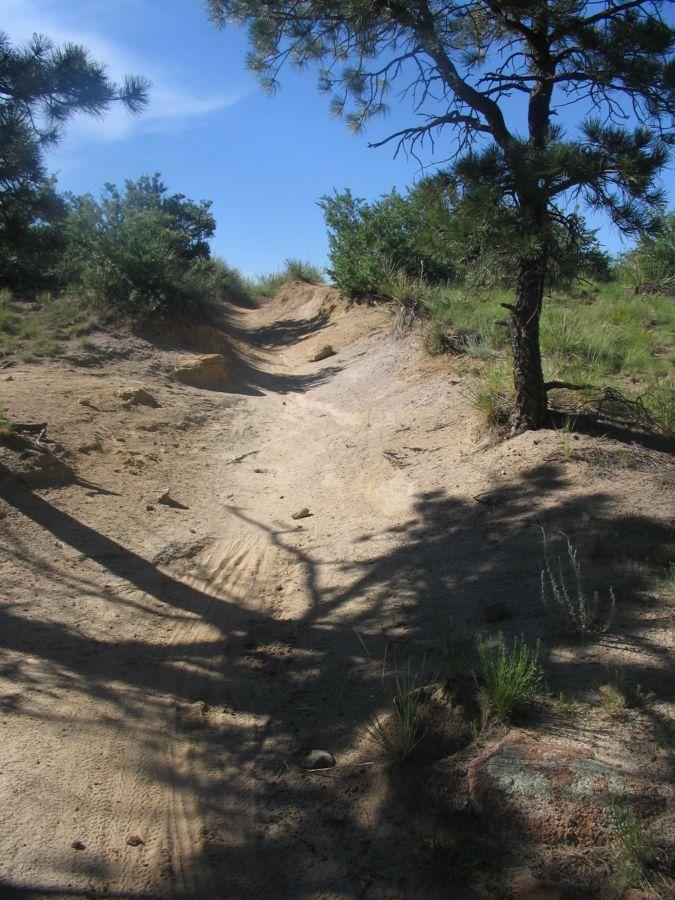 A sandy dirt path winding through a grassy landscape, bordered by low shrubs and pine trees under a clear blue sky. Palmer Park mountain bike trail.