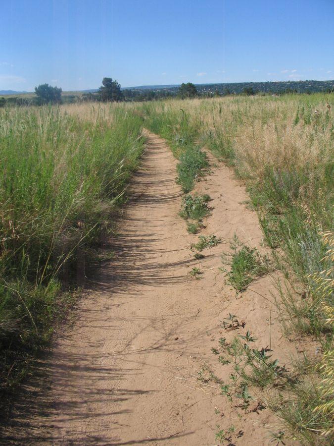 A narrow dirt path winds through tall grasses and plants, leading into an open landscape under a clear blue sky. The path is flanked by greenery on both sides, with distant hills visible in the background. Palmer Park mountain bike trail.