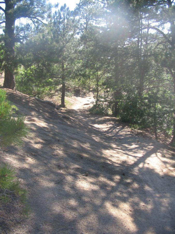 A sunlit dirt path winding through a forest, surrounded by tall trees. Shadows from the foliage create dappled patterns on the ground, suggesting a peaceful natural setting. Palmer Park mountain bike trail.