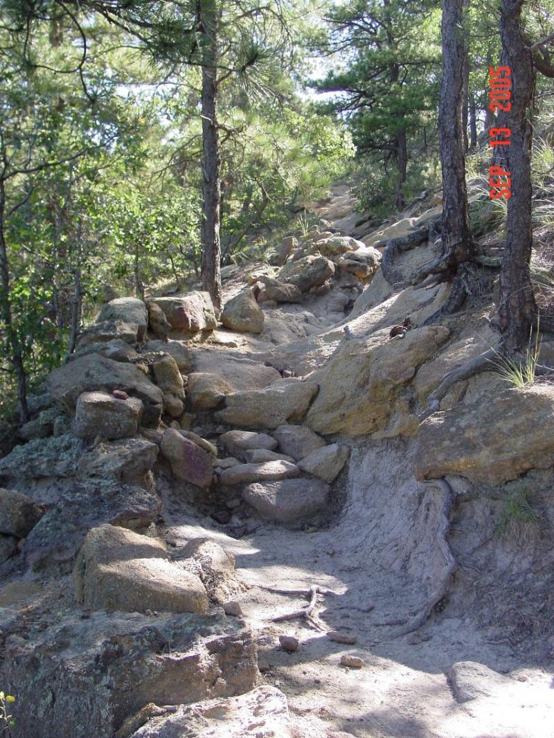 A rocky hiking trail surrounded by trees and shrubs, leading upwards. The path is uneven, with exposed roots and large boulders scattered along the way. Sunlight filters through the foliage, creating dappled light on the trail. Palmer Park mountain bike trail.