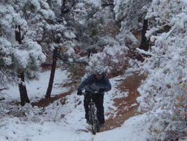 A cyclist navigating a snowy mountain trail surrounded by trees covered in snow. Palmer Park mountain bike trail.