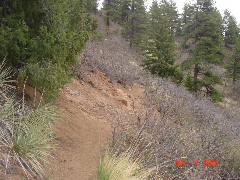 A narrow dirt trail winding through a hilly landscape, lined with dense greenery and sparse shrubs, under a cloudy sky. Palmer Trail / Section 16 mountain bike trail.