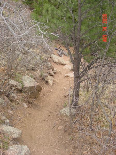 A narrow, winding dirt path through a natural landscape featuring sparse vegetation, rocky terrain, and a few trees. A bicycle is partially visible near the rocks, indicating potential outdoor recreational activity. The environment appears rugged and somewhat overgrown. Palmer Trail / Section 16 mountain bike trail.