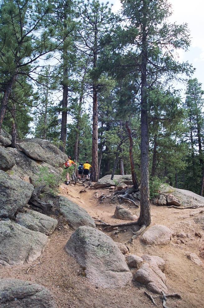 Two hikers ascend a rocky trail surrounded by tall pine trees, with sunlight filtering through the branches. The path is uneven, featuring exposed roots and scattered boulders, indicating a rugged outdoor environment. Colorado Trail: Green Mountain mountain bike trail.