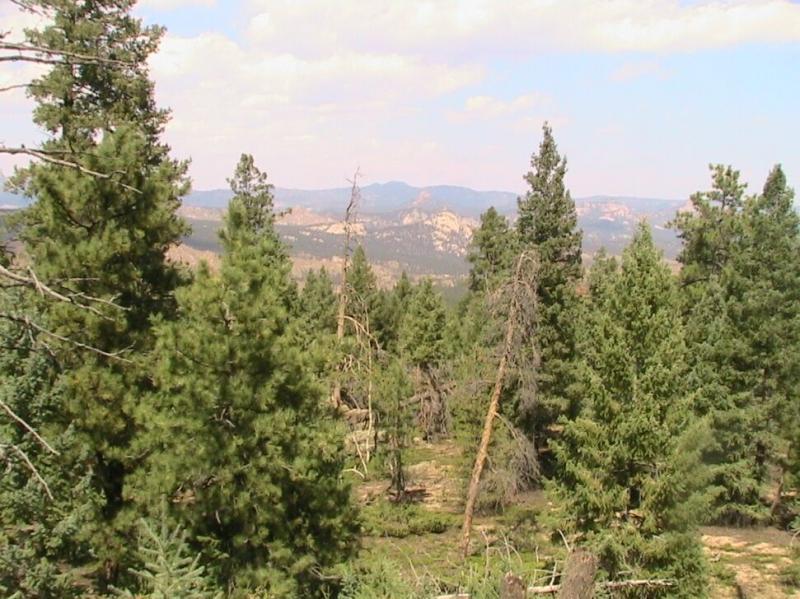 A panoramic view of a dense forest featuring coniferous trees with varying heights. In the background, rolling hills and distant mountains are visible under a partly cloudy sky, creating a serene and natural landscape. Colorado Trail: Green Mountain mountain bike trail.