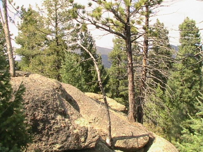 Rocky landscape with dense pine trees, showcasing natural scenery in a forested area. Colorado Trail: Green Mountain mountain bike trail.